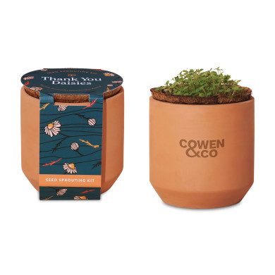 Clover Leaf キャンディポット　２個セット　英国製　未使用品 Modern Sprout® Tiny Terracotta Grow Kit Good Luck Clover