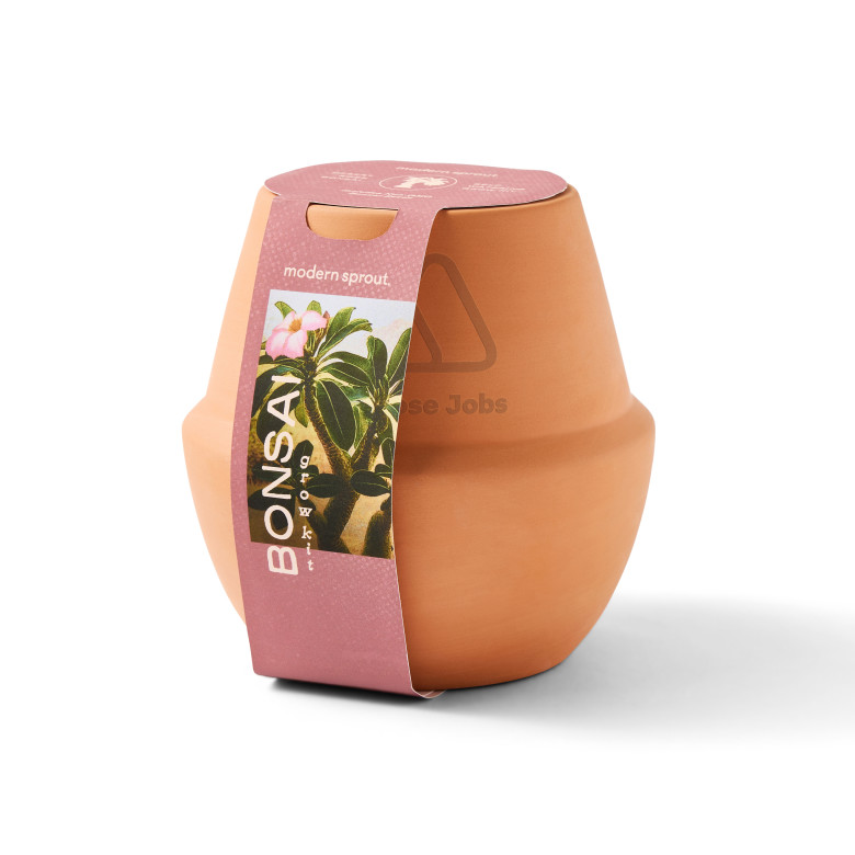 Modern Sprout Modern Terracotta Grow Kit Bonsai