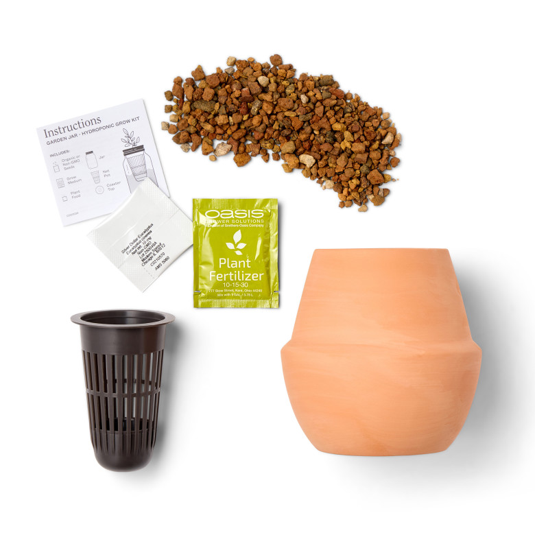 Modern Sprout Modern Terracotta Grow Kit Bonsai - Thumbnail 4